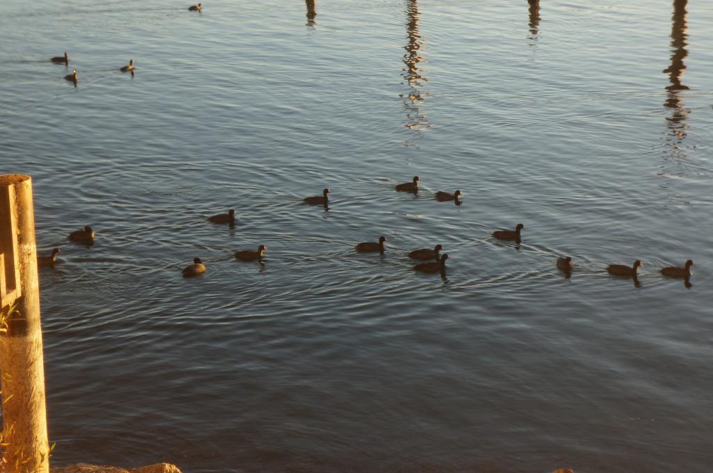 Lake Marina Inn Clearlake Oaks Экстерьер фото